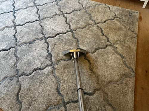 Rug Cleaning in Maidstone
