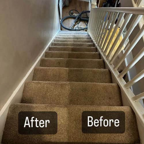 Carpet Cleaning Maidstone