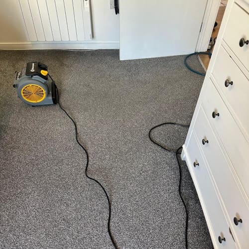 Leybourne Rug Cleaning