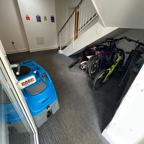 Rochester Carpet Cleaning