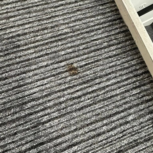 Rainham Upholstery Cleaning