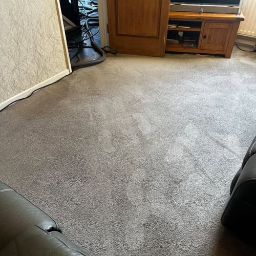Rochester Upholstery Cleaning