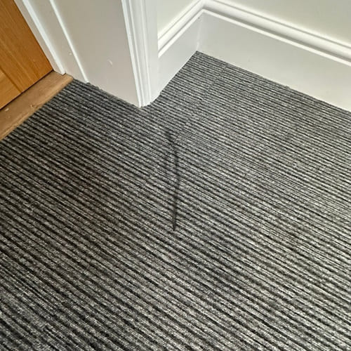 Snodland Rug Cleaning