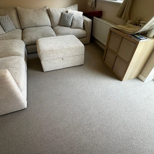 Pet Stain & Odour Removal Maidstone