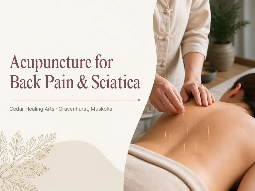 Acupuncture for back pain and sciatica at Cedar Healing Arts in Gravenhurst, Muskoka