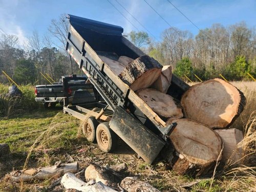 Stump Grinding & Removal Ringgold, GA