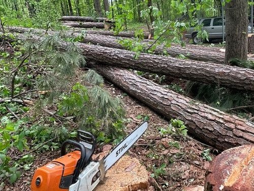 Tree Removal in Ringgold, GA