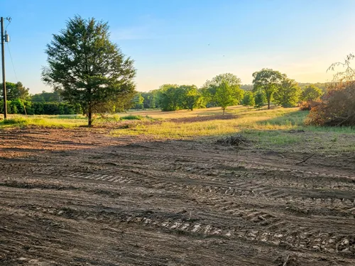 Land & Lot Clearing in Ringgold, GA