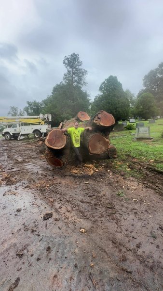 Emergency Tree Service Ringgold, GA