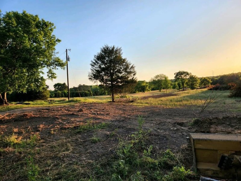 Stump Grinding & Removal Ringgold, GA