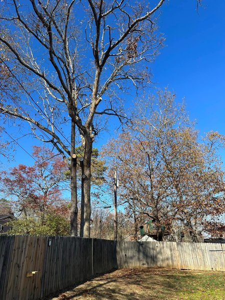 Brush & Debris Removal Ringgold, GA