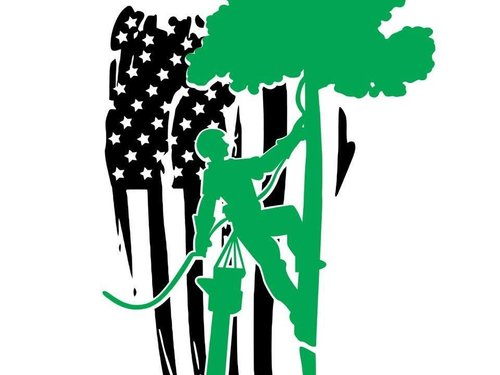 Tree Services Ringgold, GA