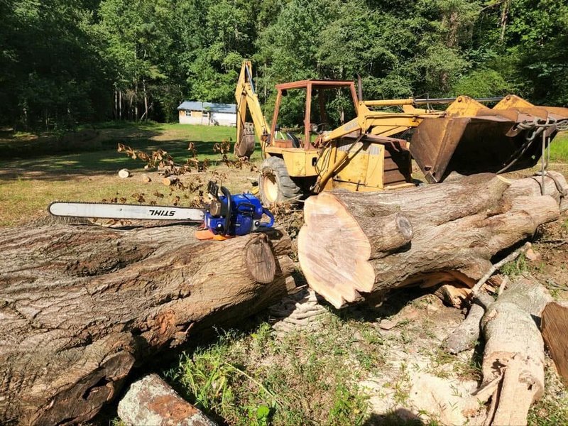 Tree Removal Ringgold, GA