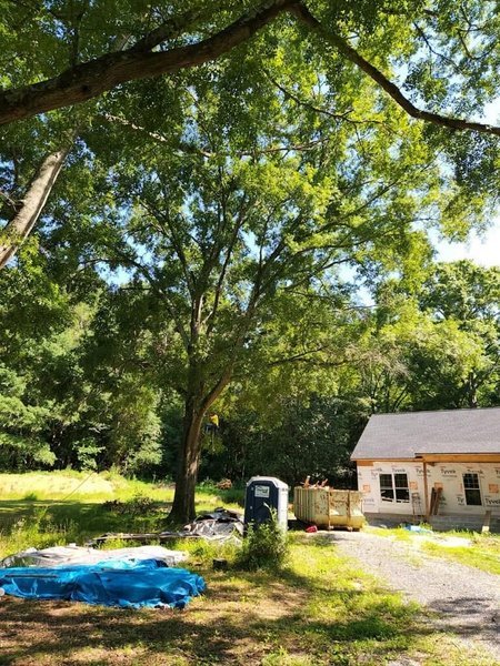 Hazardous & Dead Tree Removal Ringgold, GA