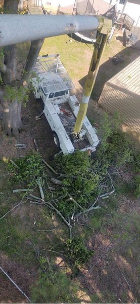 Emergency Tree Service 