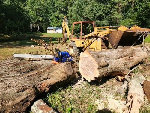 Tree Removal Ringgold, GA