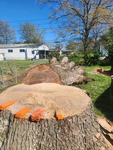 Emergency Tree Service Ringgold, GA