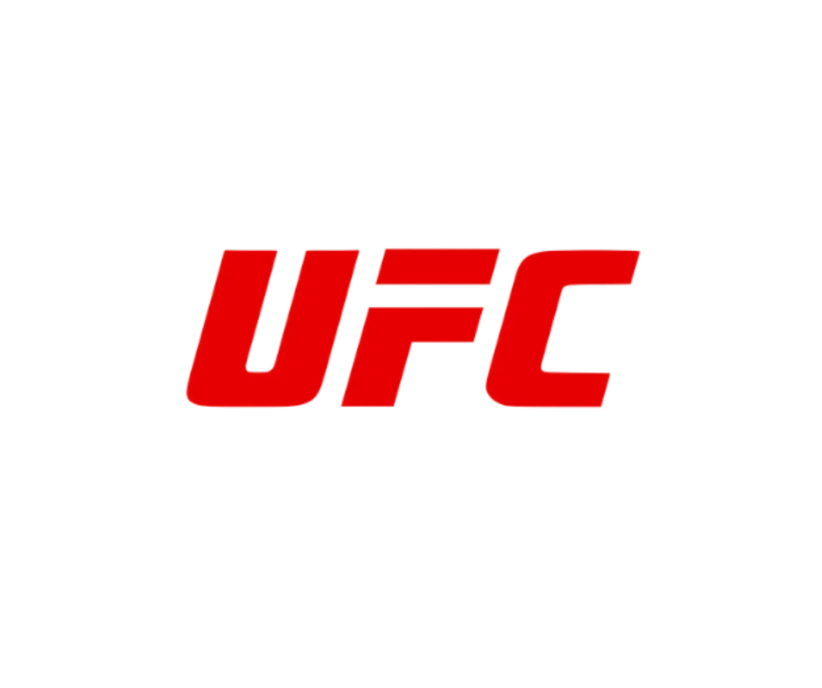 UFC Ultimate Fighters Icon