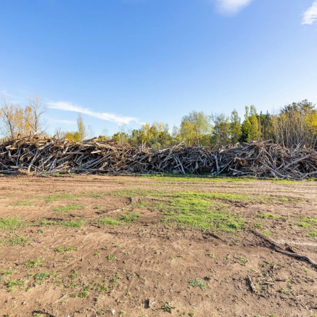 brush removal Evansville IN, ground clearing Evansville IN, brush clearing Evansville IN, land clearing Evansville IN, overgrown property cleanup, lot clearing Evansville IN, Bushwhackers Evansville IN