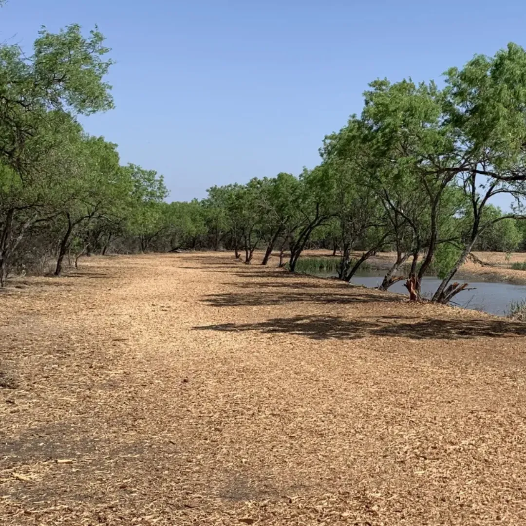lot clearing Evansville IN, dirt removal Evansville IN, debris removal Evansville IN, excavation Evansville IN, grading Evansville IN, land clearing Evansville IN, brush clearing Evansville IN, site preparation Evansville IN