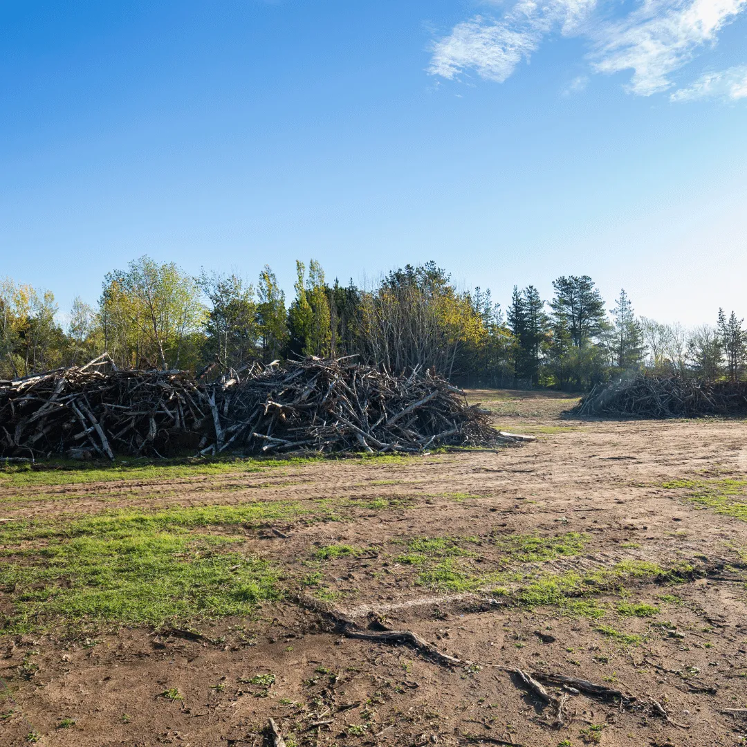 debris removal Evansville IN, dirt hauling Evansville IN, brush pile removal Evansville IN, yard debris removal Evansville IN, construction debris removal Evansville IN, property cleanup Evansville IN, land cleanup Evansville IN
