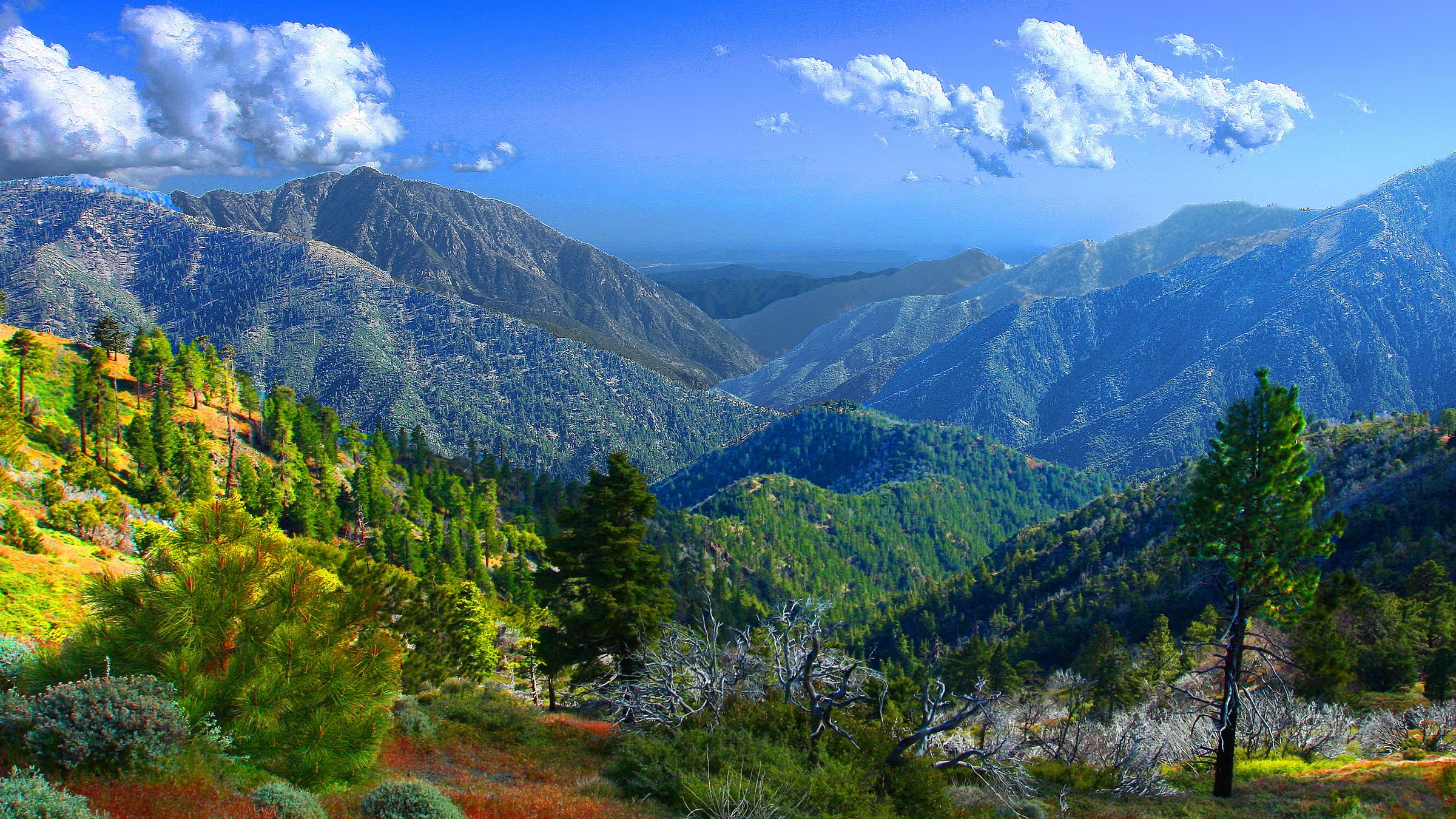 Exploring the San Gabriel Mountains from Covina: Why Renting an SUV Is the Smartest Way to Elevate Your Adventure | Classy Lux Car Rental, Covina, CA 🚙⛰️🌄