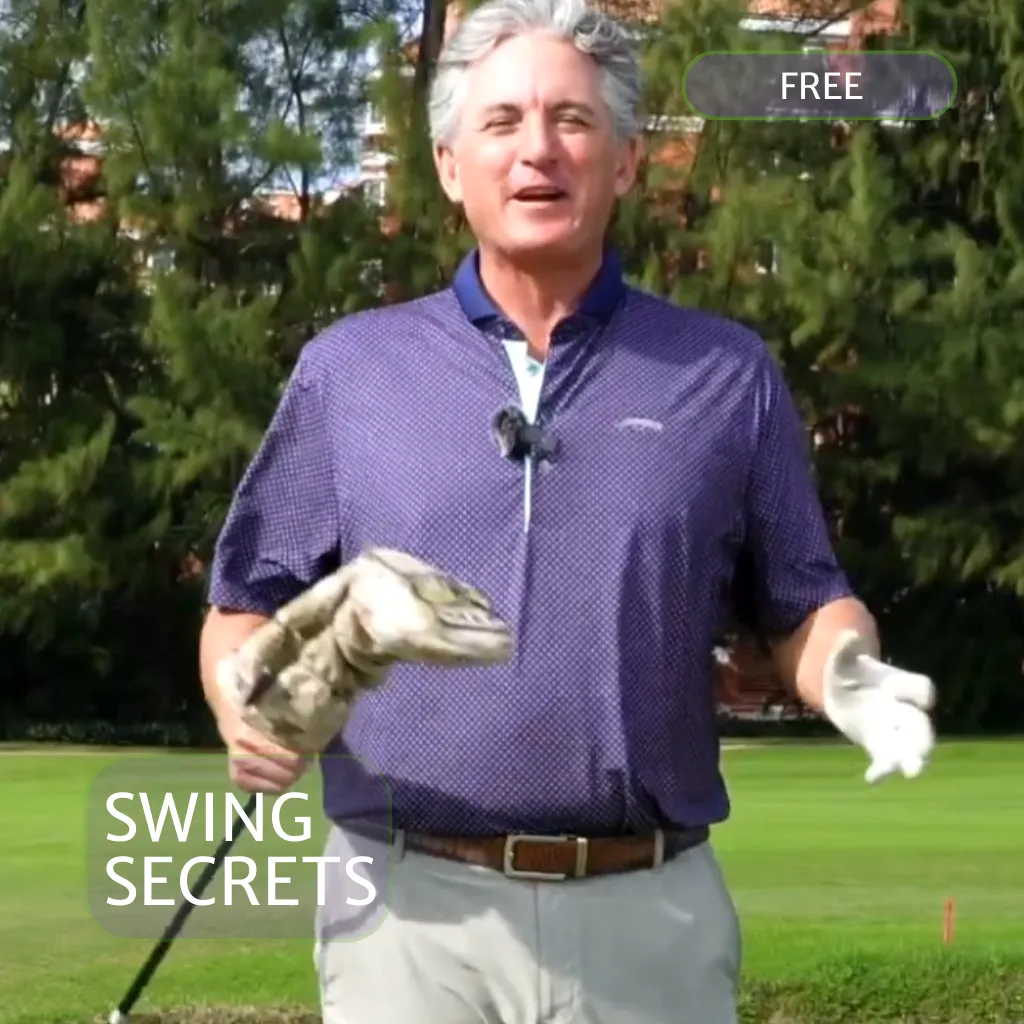 Swing Secrets Image