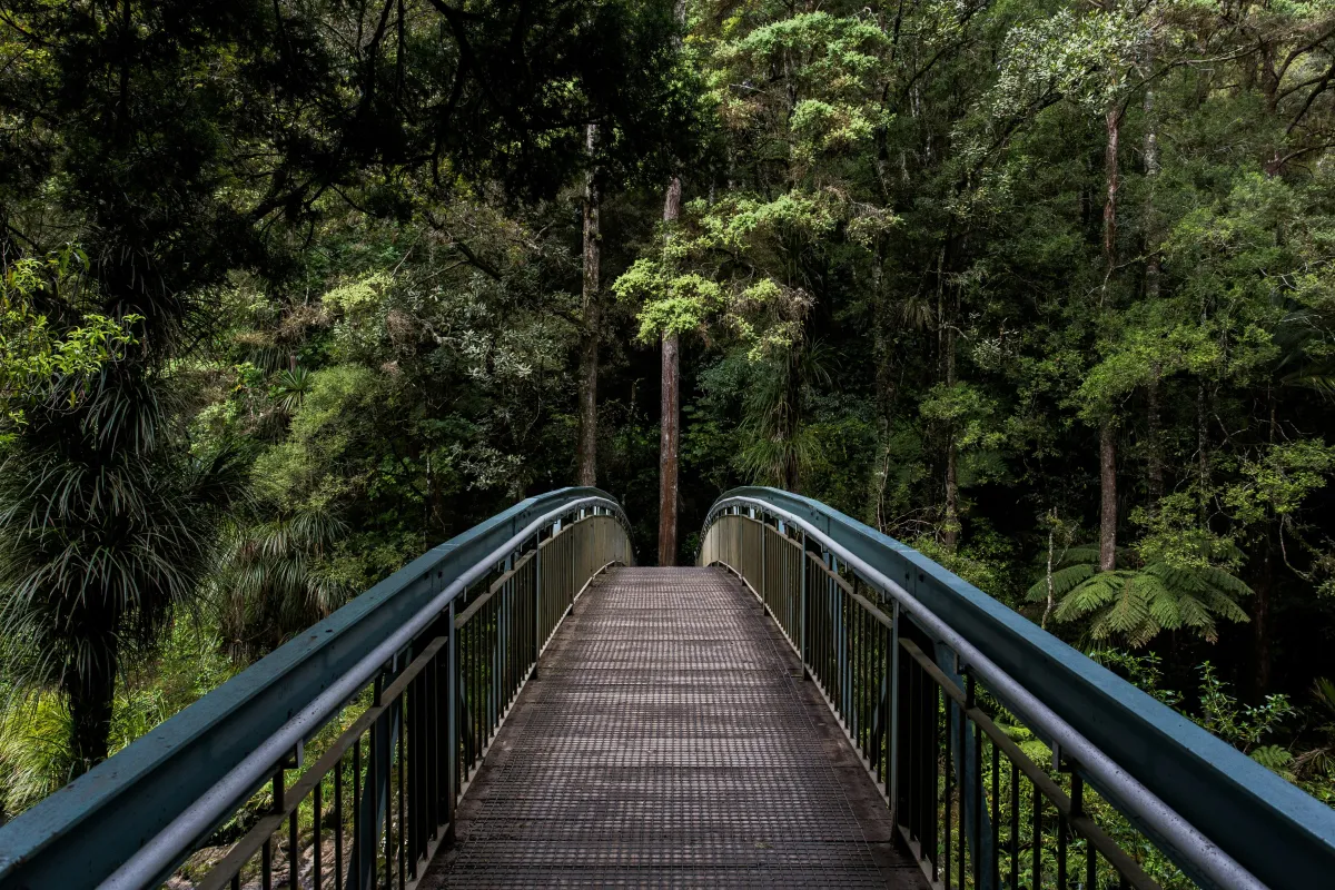 The Bridges We Cross: A Story About Fear, Healing, and Being Truly Seen