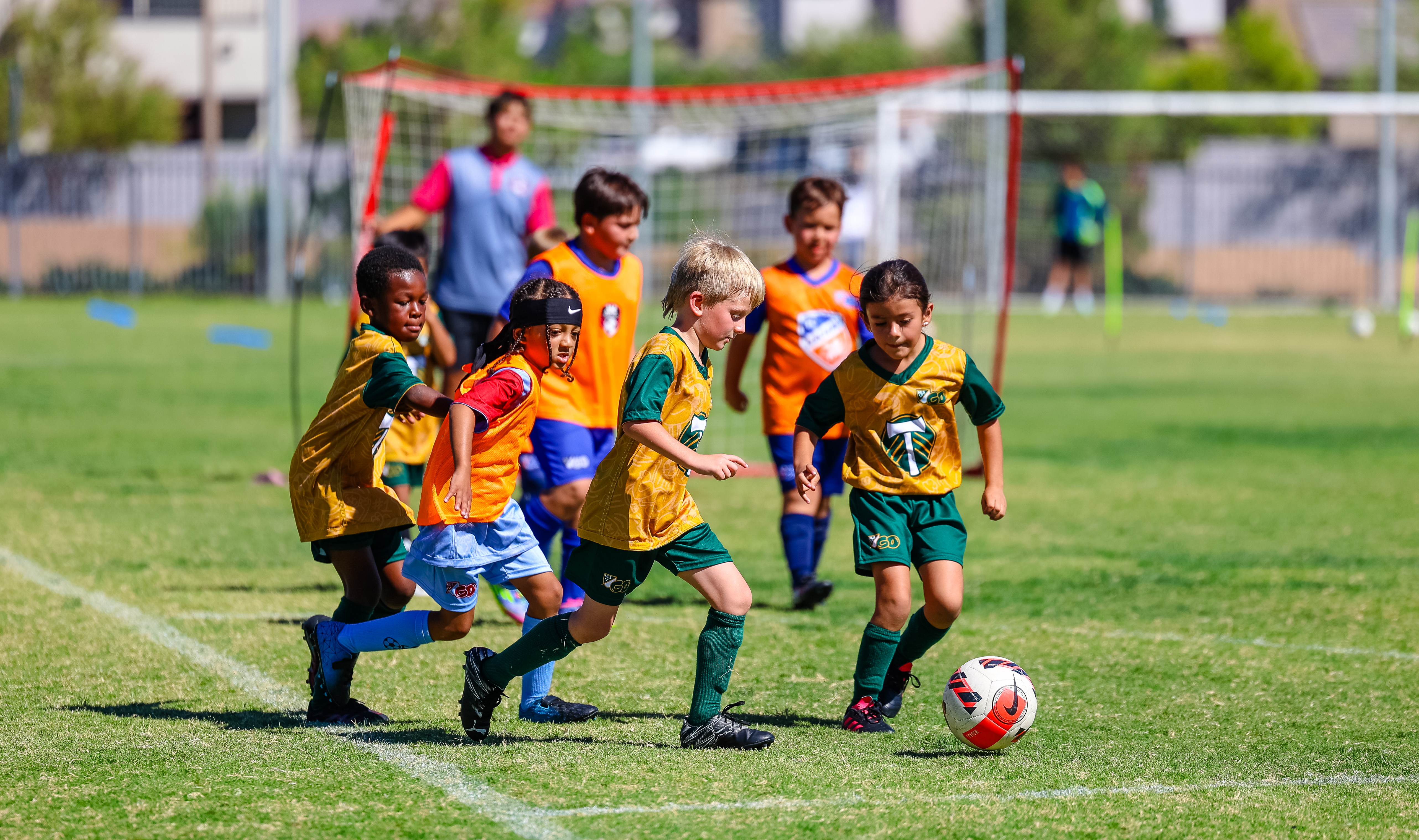 Vegas Youth Soccer League