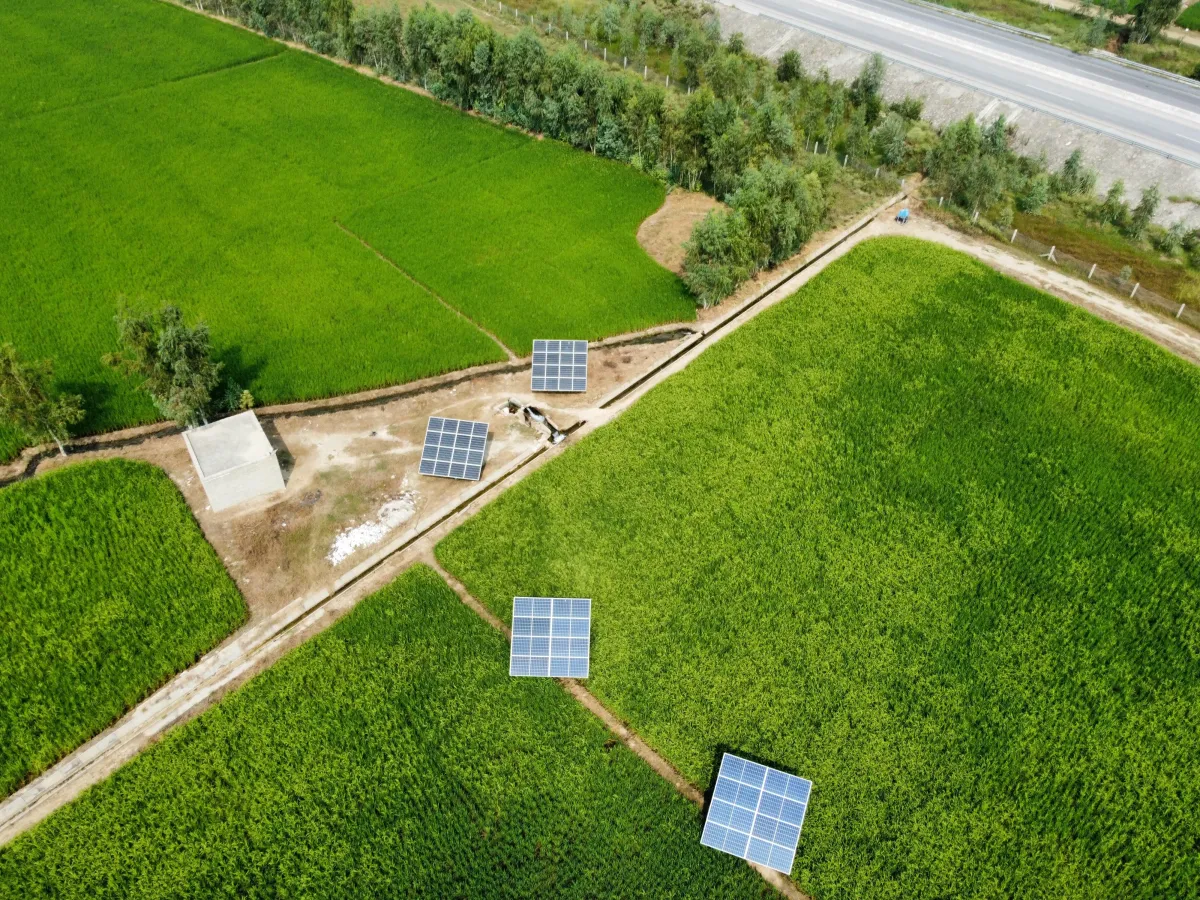 renewable-energy-advisors-inc-green-field
