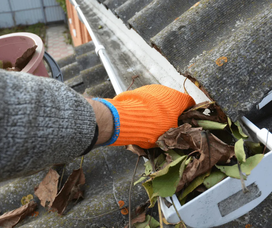 Gutter cleaning, Oakville ON