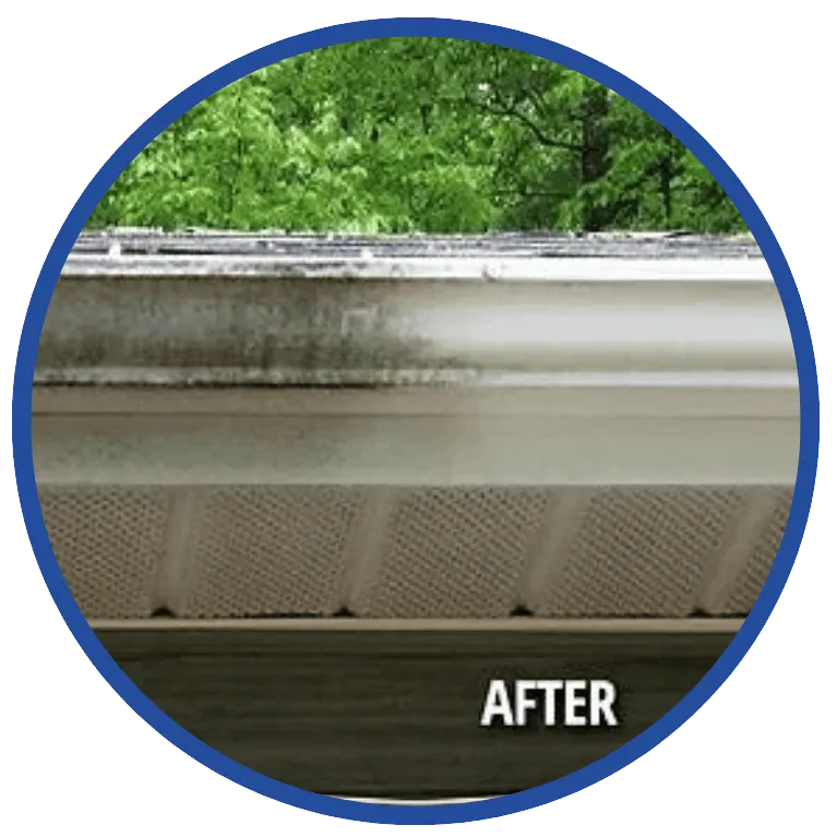 Gutter cleaning, Oakville ON