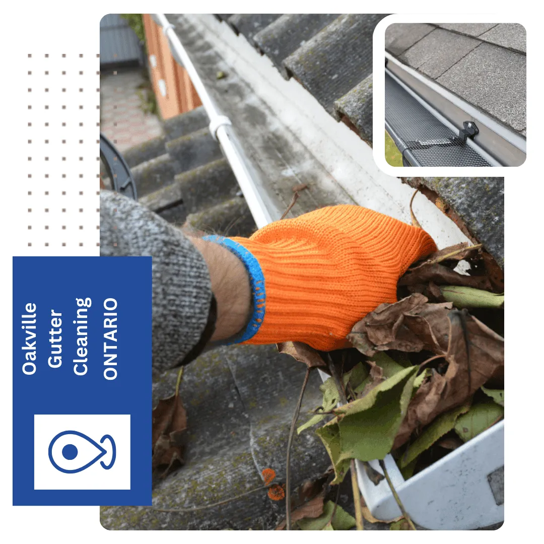 Gutter Cleaning, Oakville ON 