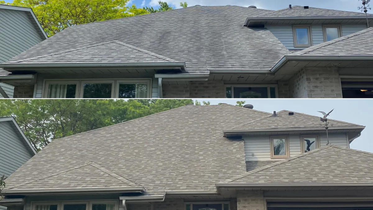 Roof cleaning experts Oakville