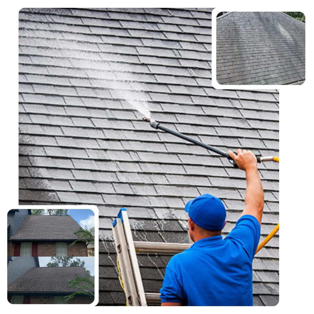 Local roof cleaning Oakville