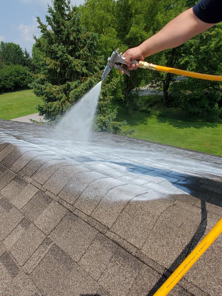 Roof cleaning Hamilton