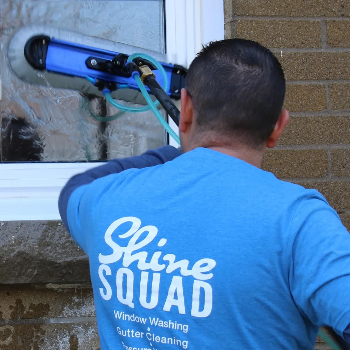 Window cleaning Oakville 