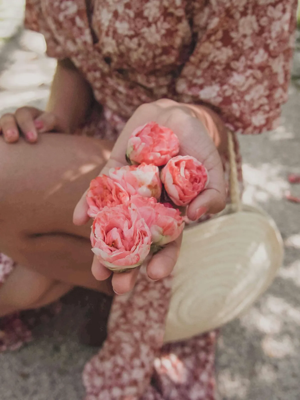 Soft pink flowers held up to camera by woman sitting on ground in flowery red dress