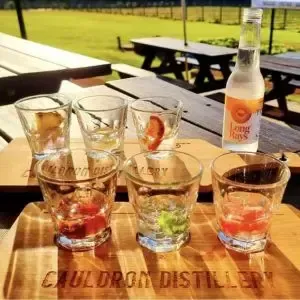 Wine Tours