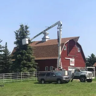 Tree Maintenance at Barn
