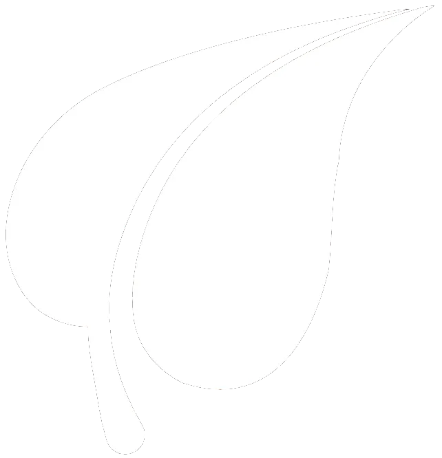 Leaf Graphic