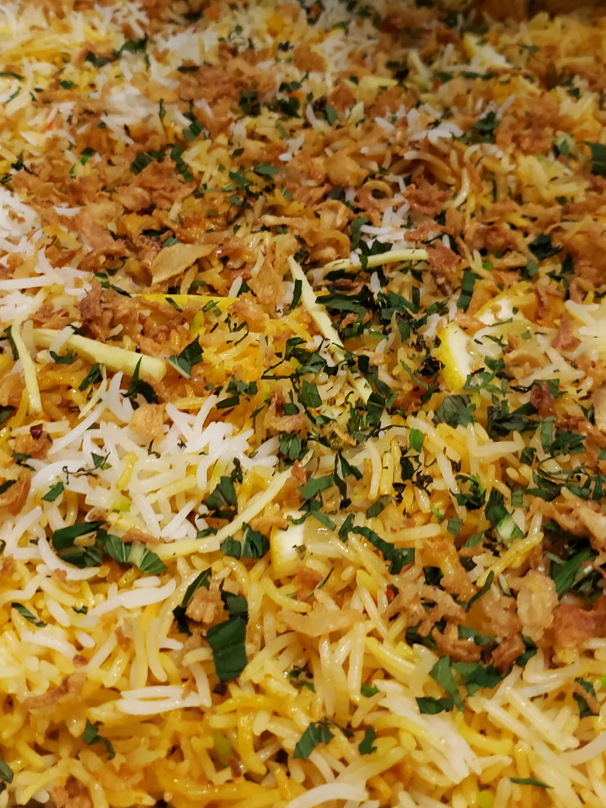 biryani-image-2