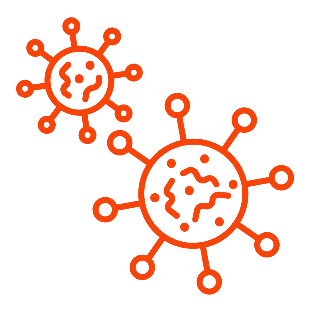 Bacteria & Viruses