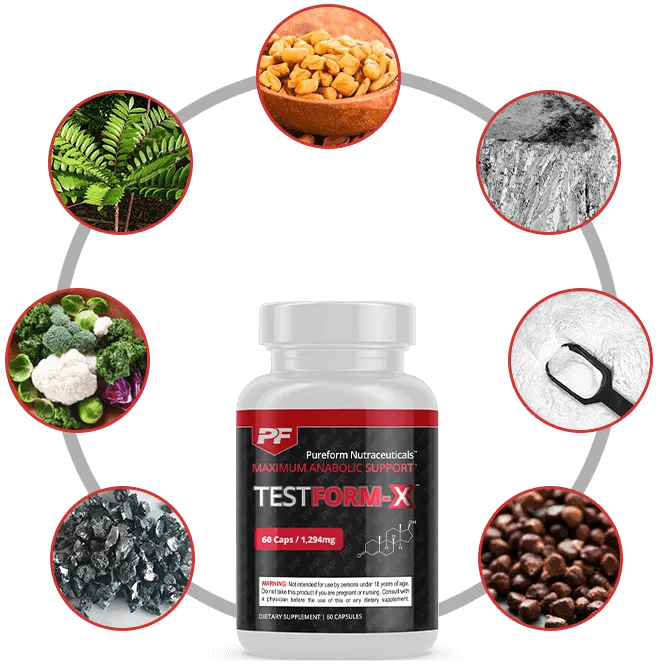 testform-x ingredients