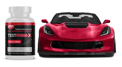 Testform X high performance