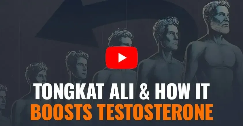 Tongkat ali how it boosts testosterone