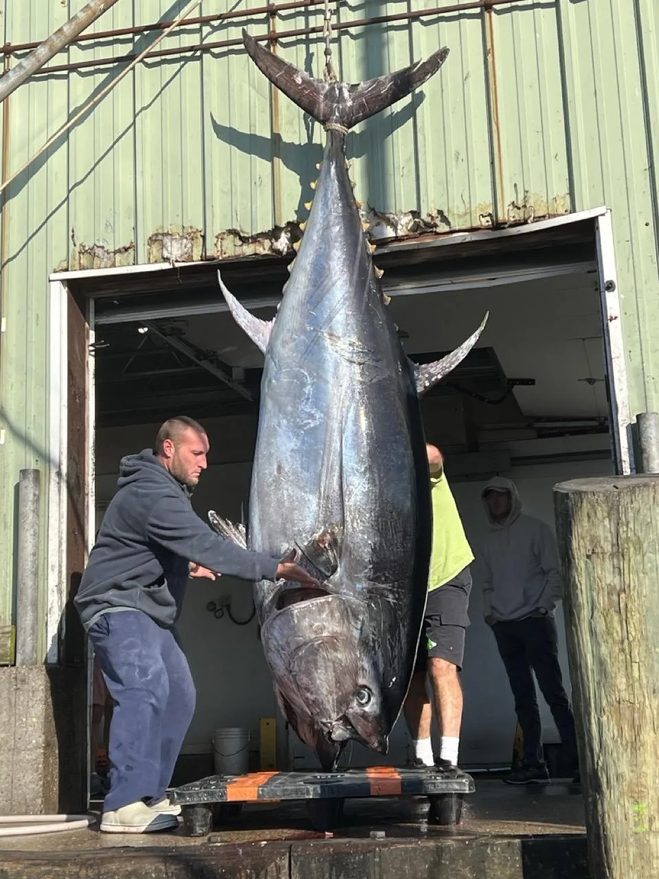 bluefin_tuna_fishing_charter