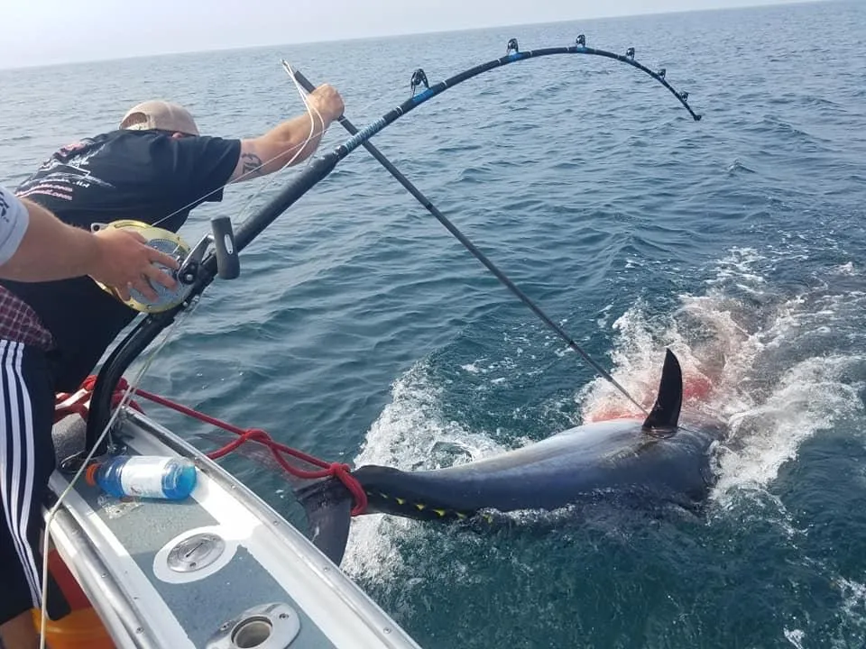 bluefin-tuna-fishing-charter