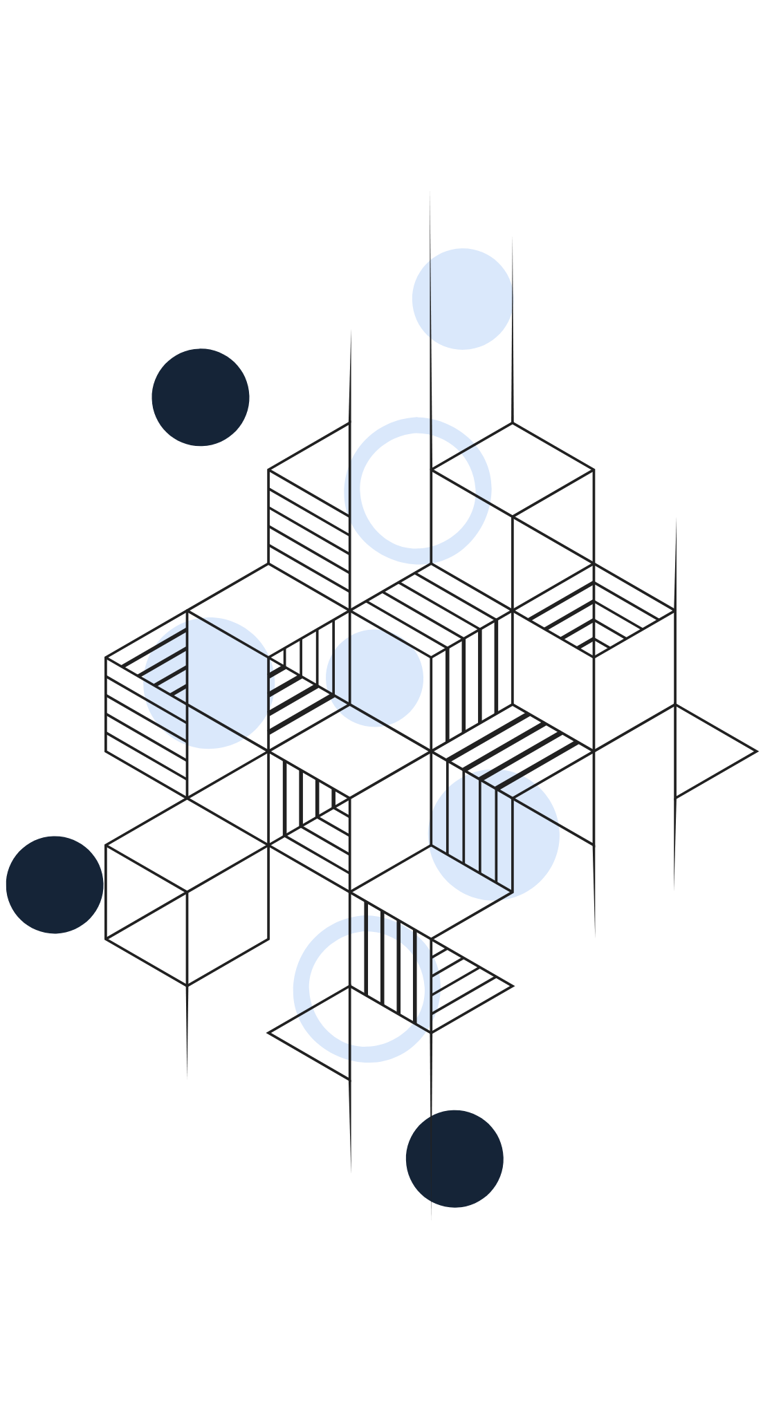 Graphic Image - Company Boldpiq