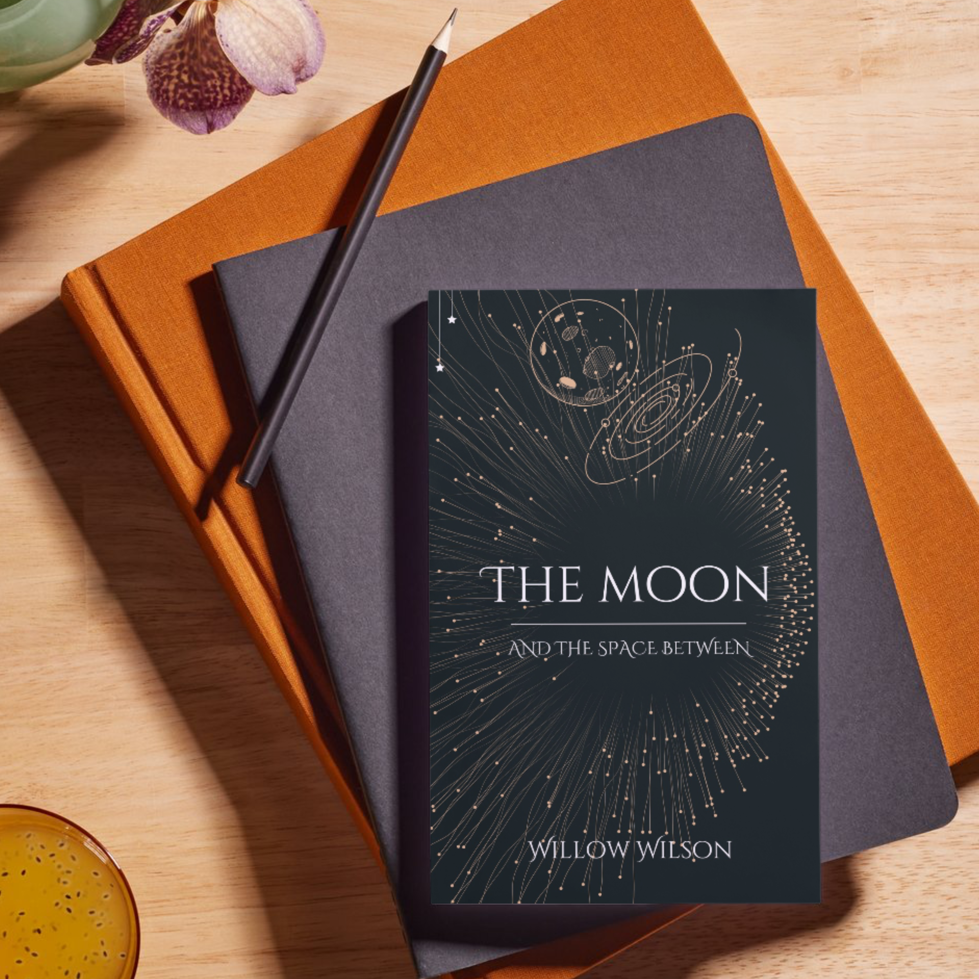 Branding & Identity Image - Company Boldpiq